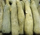 Picture of Pona  Yam (New Yam - VERY EXPENSIVE)