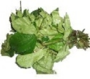 Picture of Fresh Ugu Leaf (Telfairia Occidentalis)