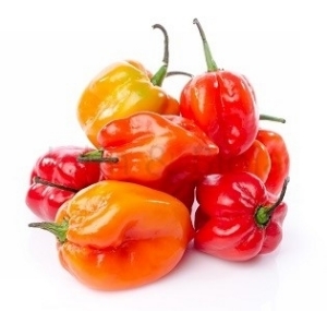 Picture of Hot Pepper - Scotch Bonnet (Mixed)