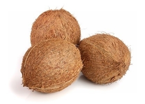 Picture of Coconut