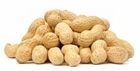 Picture of Fresh Peanut 250g (Arachis hypogaea)