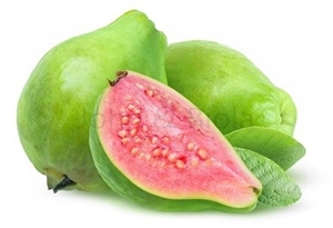 Picture of Guava (3 Guavas) - (Psidium Guajava)