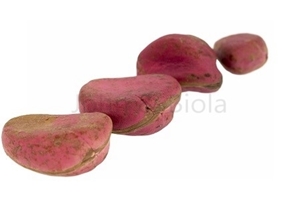 Picture of Kolanut 3+ Part (Obi-Abata, Oji) - 3 Kolas