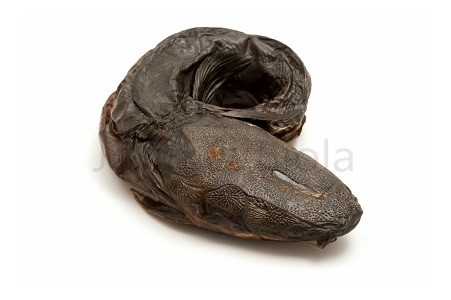 John and Biola - UK No 1 African Online Supermarket. Smoked Whole Catfish