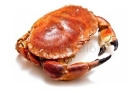 Picture of Fresh Whole Brown Crab (Cooked - 1 Crab)