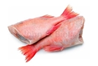 Picture of Red Bream