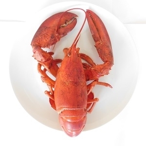 Picture of Fresh UK Lobster (Gutted, Cleaned, Frozen, Uncooked, Whole)