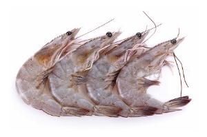 Picture of XXL Prawns (Frozen, Uncooked, Unpeeled) 375g Net